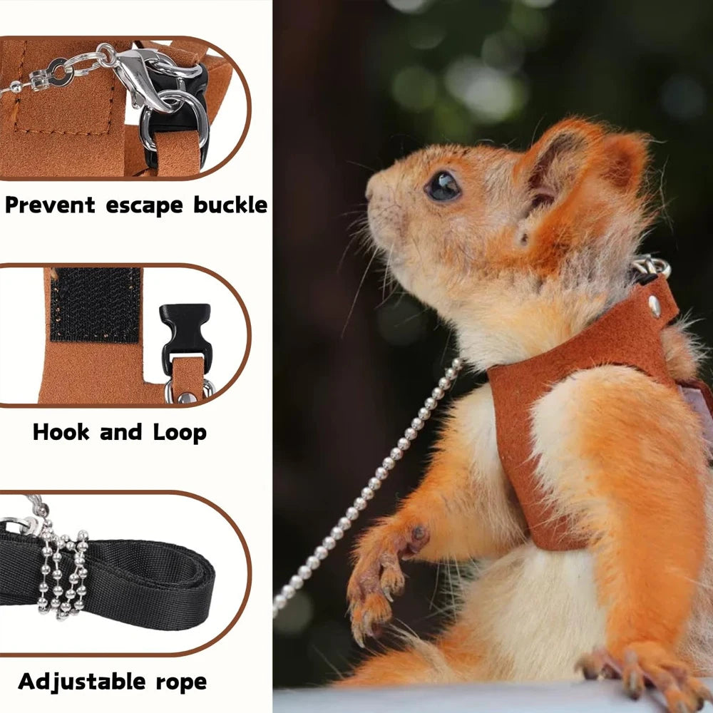 Close-up of squirrel in brown harness with features like escape-proof buckle, hook and loop, and adjustable rope for outdoor safety.