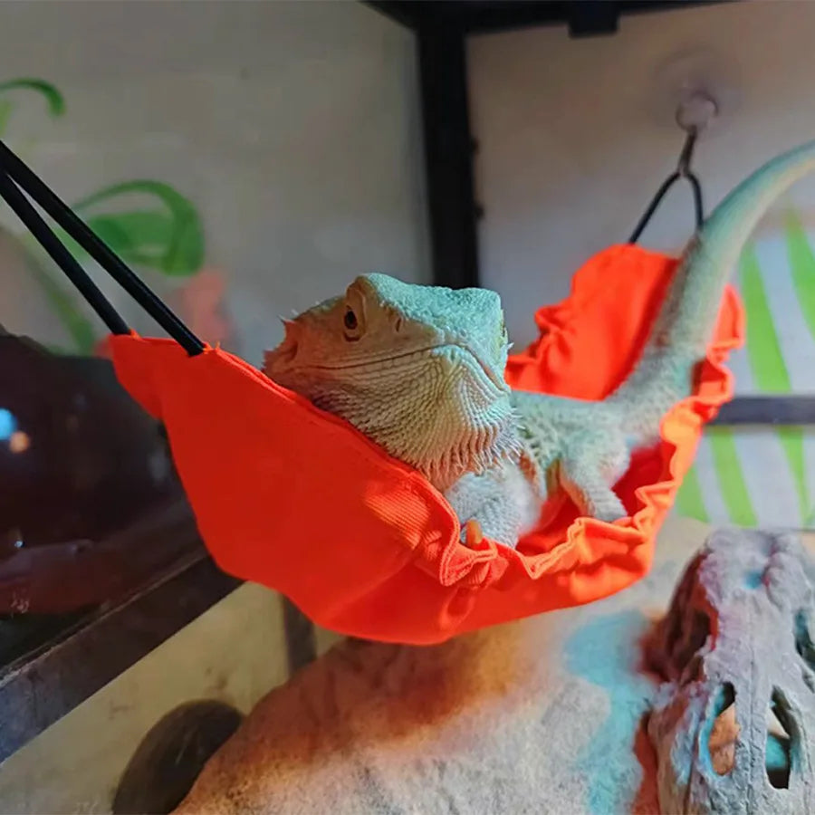 Bearded dragon sitting in a bright orange Lizard Climbing Hammock, a vibrant and durable swing for reptile enclosures.