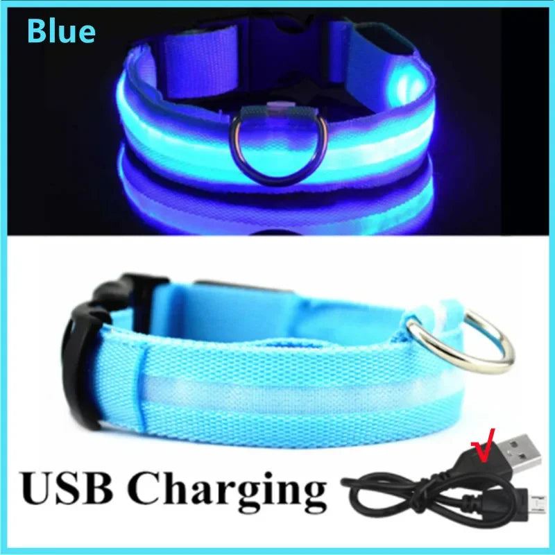 Blue rechargeable LED dog collar with glowing light strip and USB charging, designed for enhanced pet safety in low light.