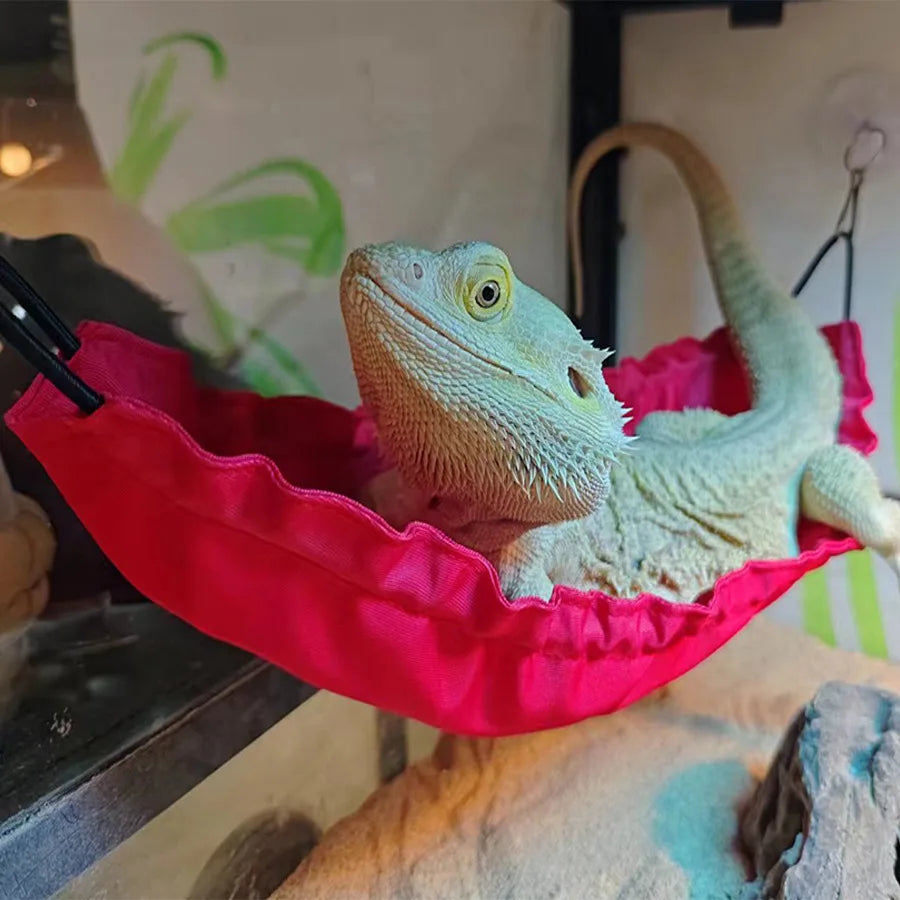 Bearded dragon relaxing in a red Lizard Climbing Hammock, a soft and secure pet swing nest for reptiles in vivariums.