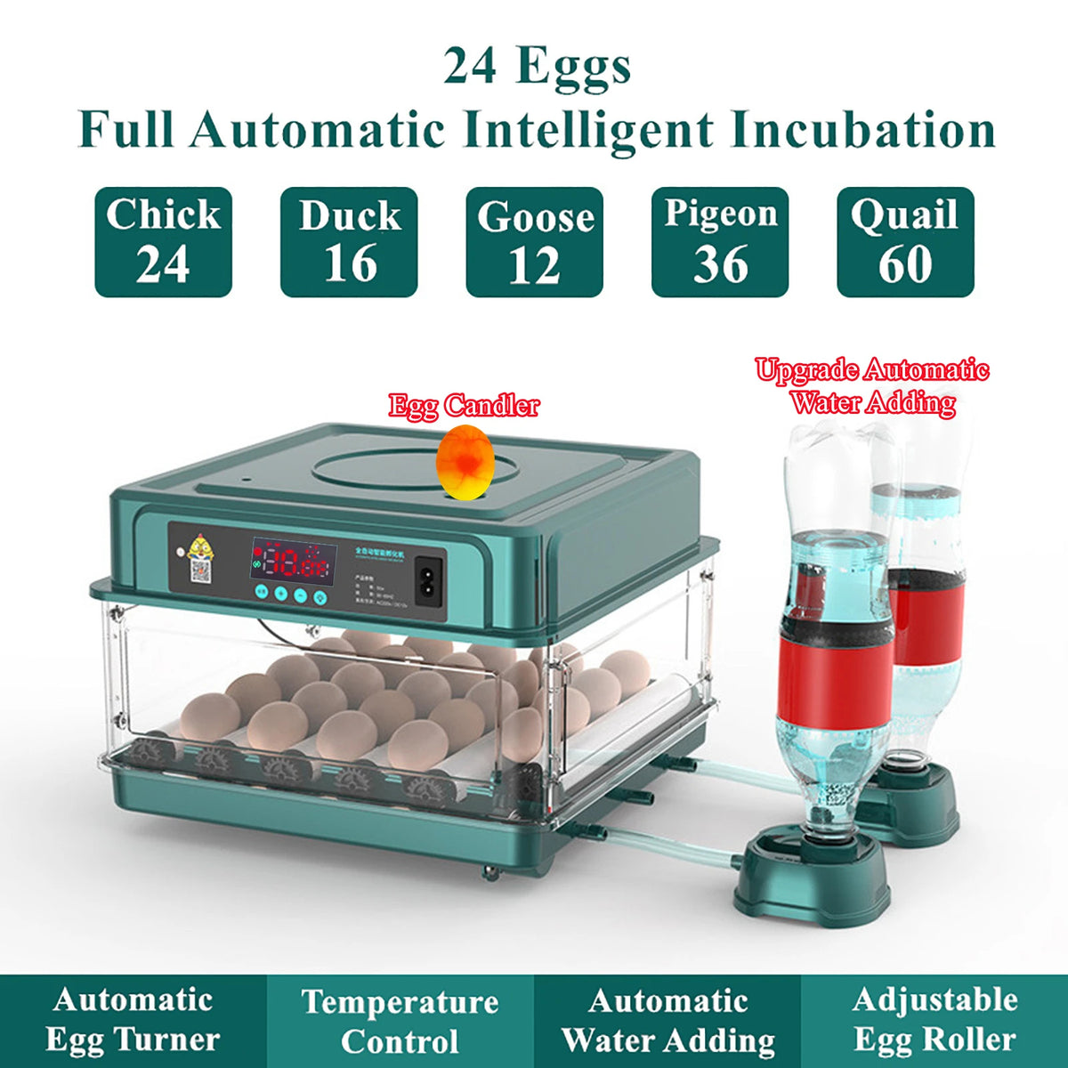 24-egg automatic incubator with intelligent temperature control, water adding system, and egg candler for hatching chicks, ducks, geese, pigeons, and quails.