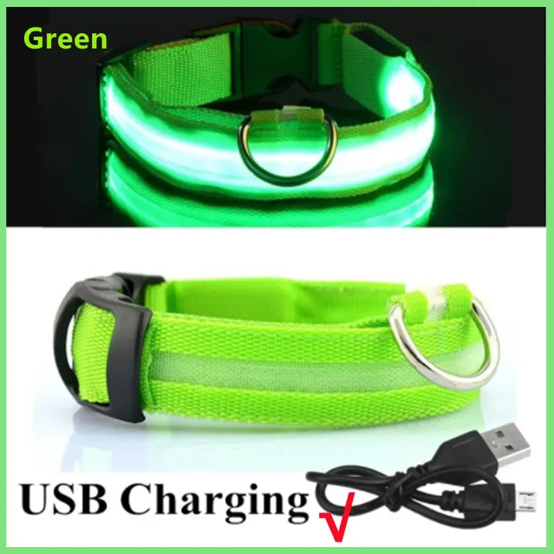 Green illuminated rechargeable LED dog collar with USB charging cable, ideal for pet visibility and safety during nighttime.