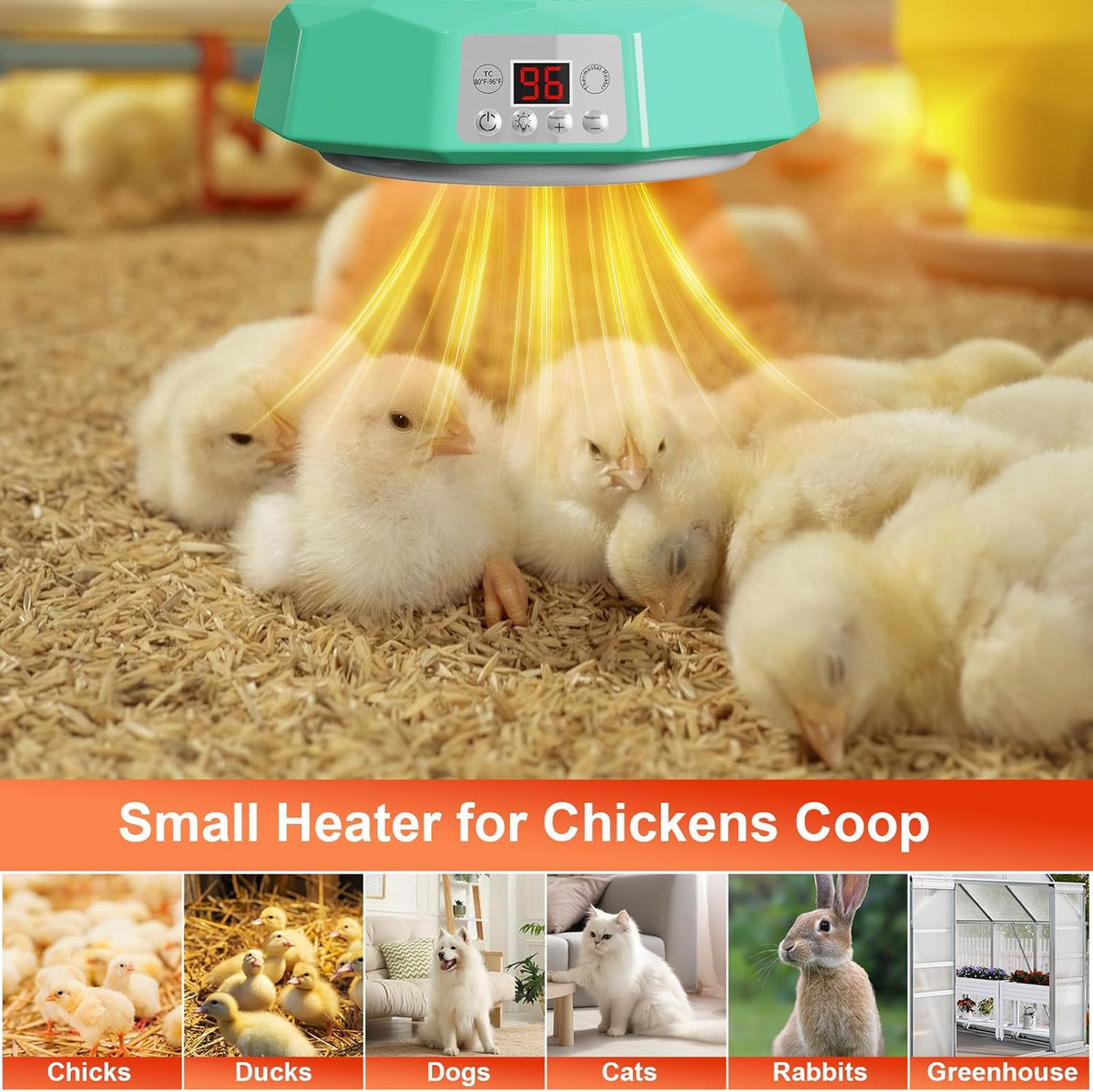 Efficient Poultry Incubator Heating Lamp warming chicks in a coop, ideal for chickens, ducks, and small pets in agricultural environments.