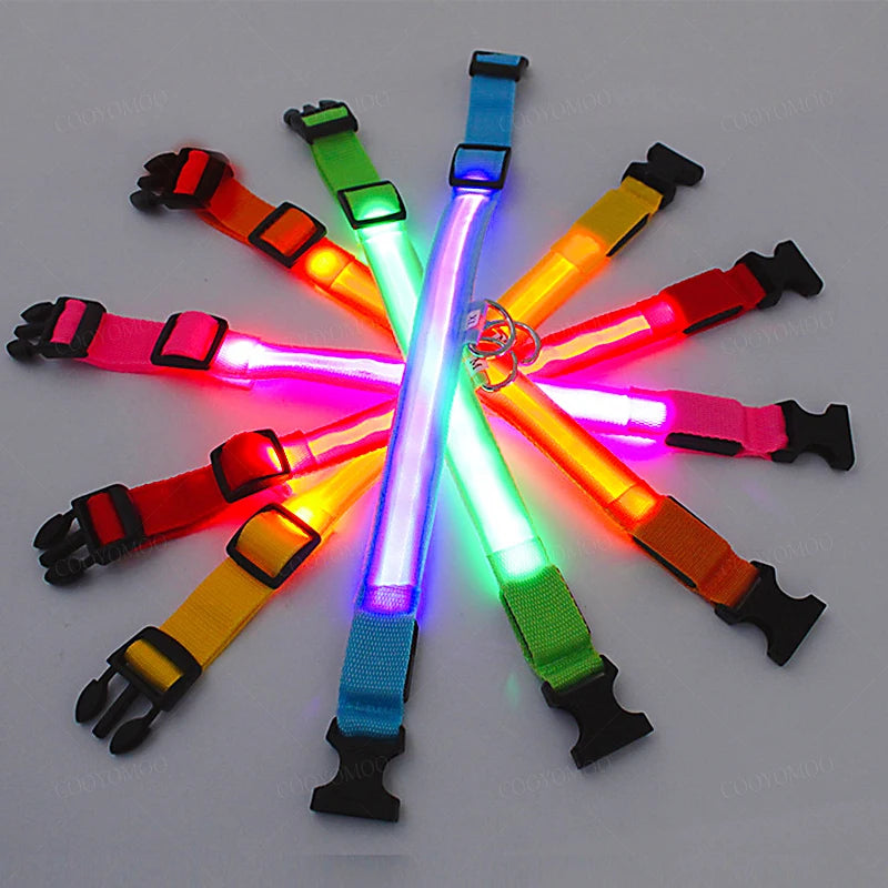 Colorful array of rechargeable LED dog collars in multiple colors, all illuminated for high visibility and pet safety.