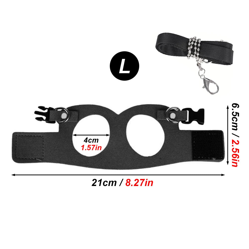 Large size black squirrel harness with leash, designed for comfort and safety during outdoor activities for small pets.
