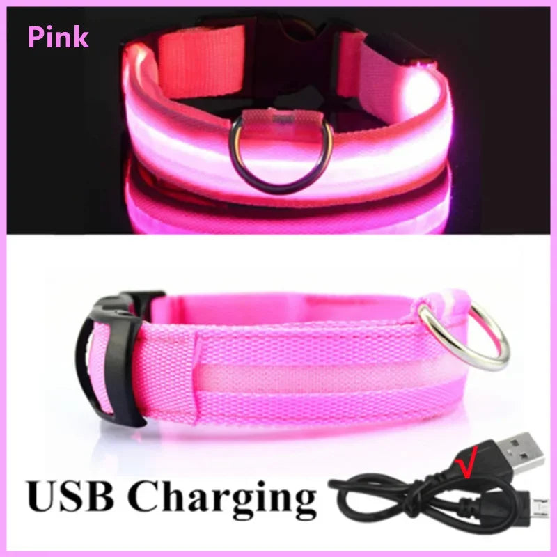 Pink illuminated LED dog collar with USB charging, offering stylish visibility and safety for pets during evening walks.