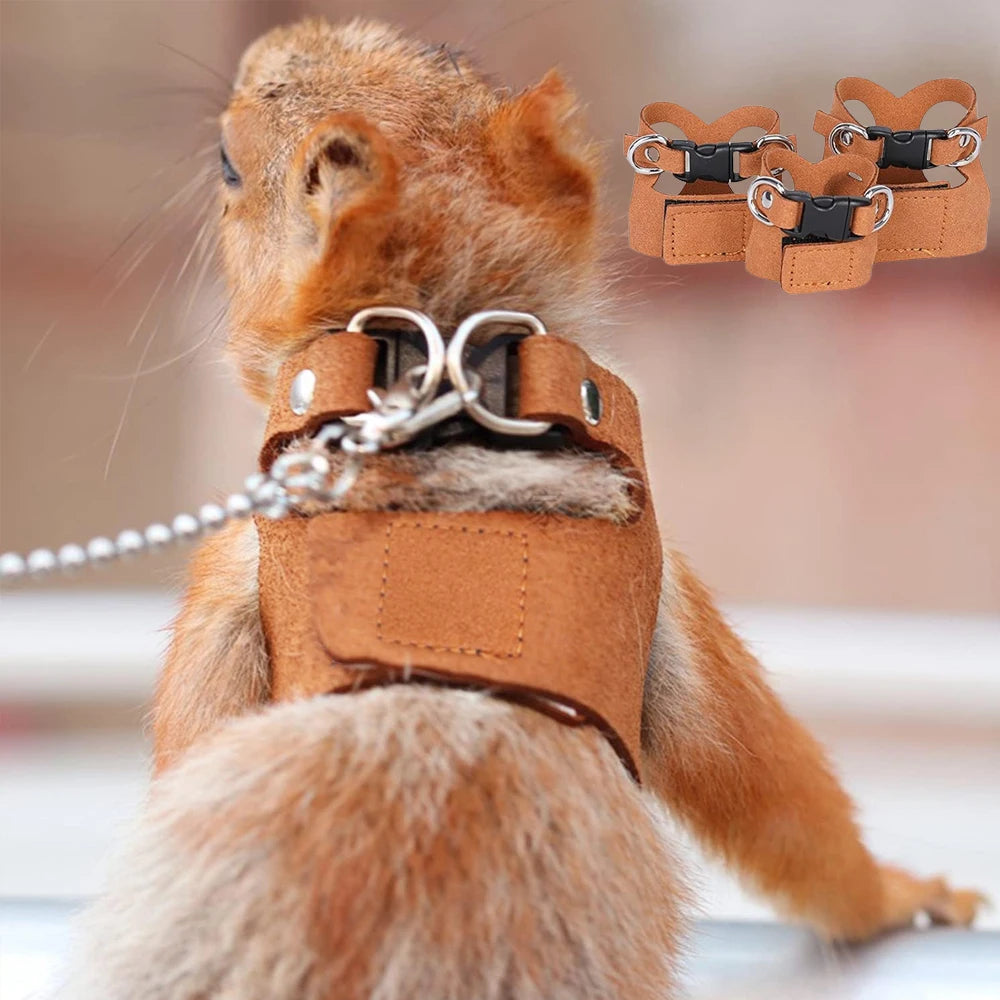 Back view of squirrel in brown harness with leash attached, highlighting secure fit. Includes image of 3 harnesses in different sizes.