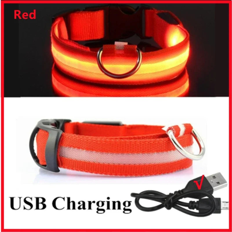 Red rechargeable LED dog collar with bright illumination and USB cable, perfect for keeping dogs visible at night.