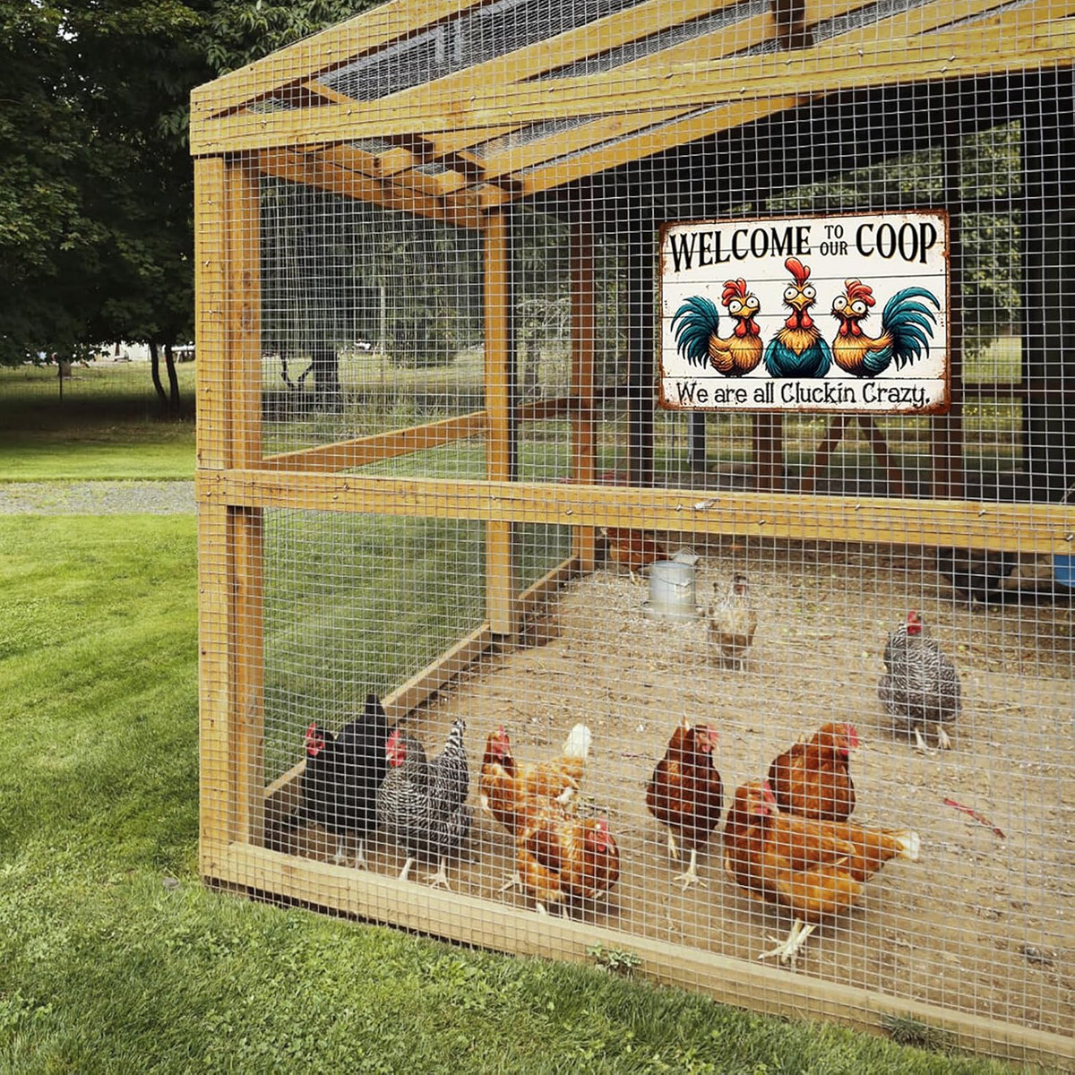 Chicken Coop Tin Sign Decor displayed on a large outdoor chicken run, adding humor and charm to the garden or poultry area.