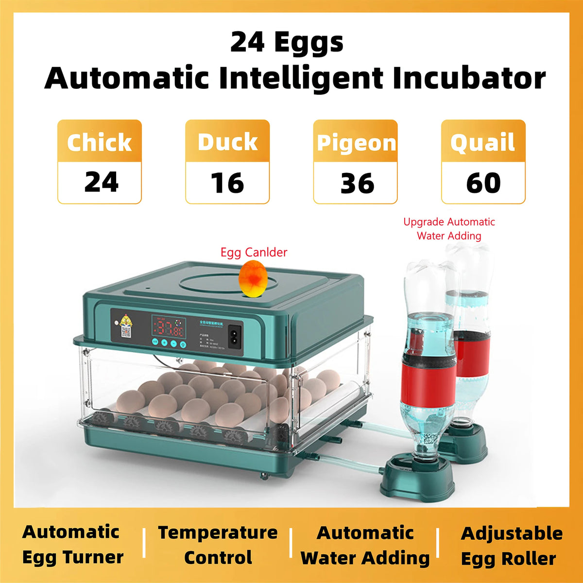Automatic Egg Incubator - Water Adding | 12-64 Eggs with auto turner, temperature control, and candler, supports multiple bird species egg hatching.