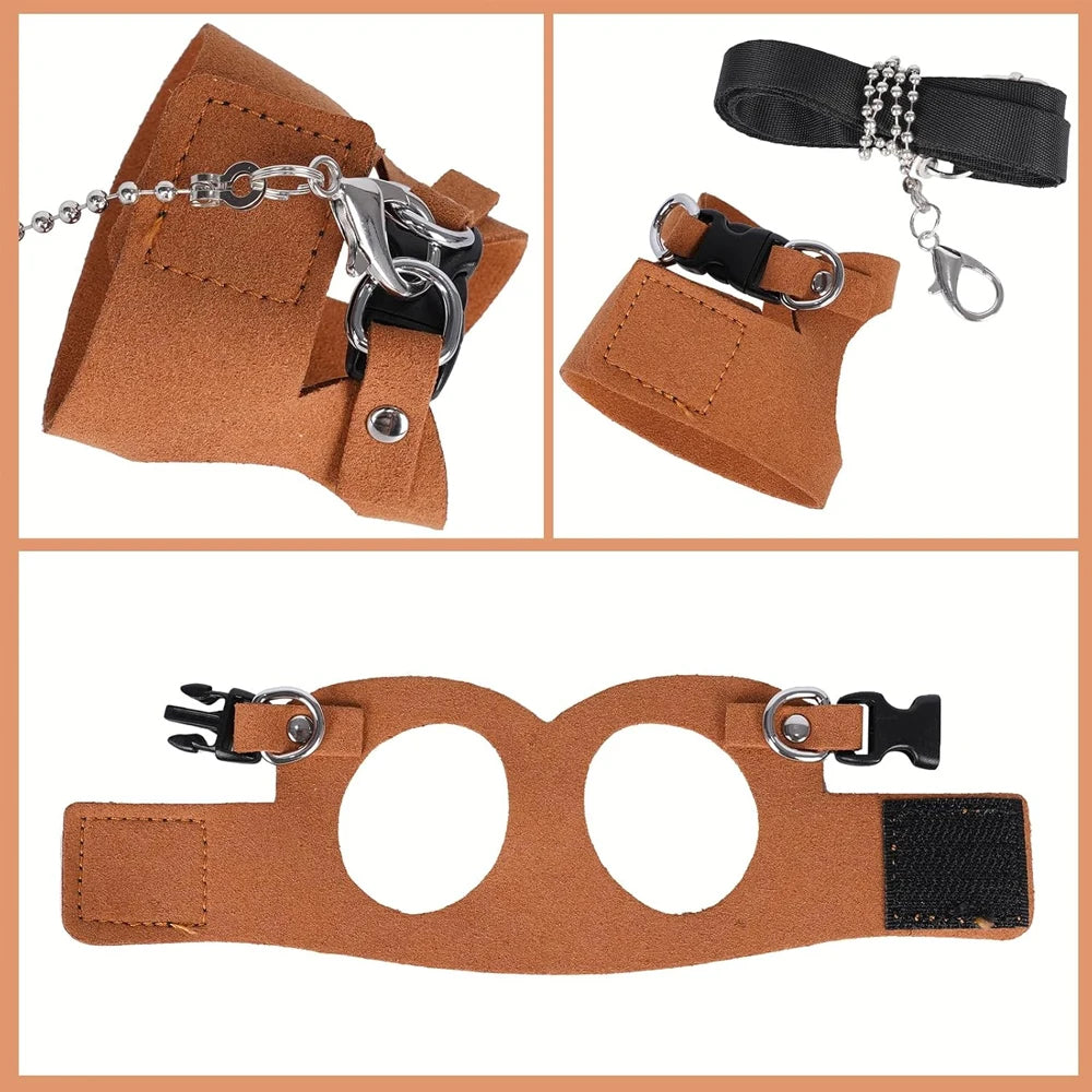 Detailed view of brown squirrel harness with leash, showing hook, buckle, and adjustable strap for secure outdoor pet use.