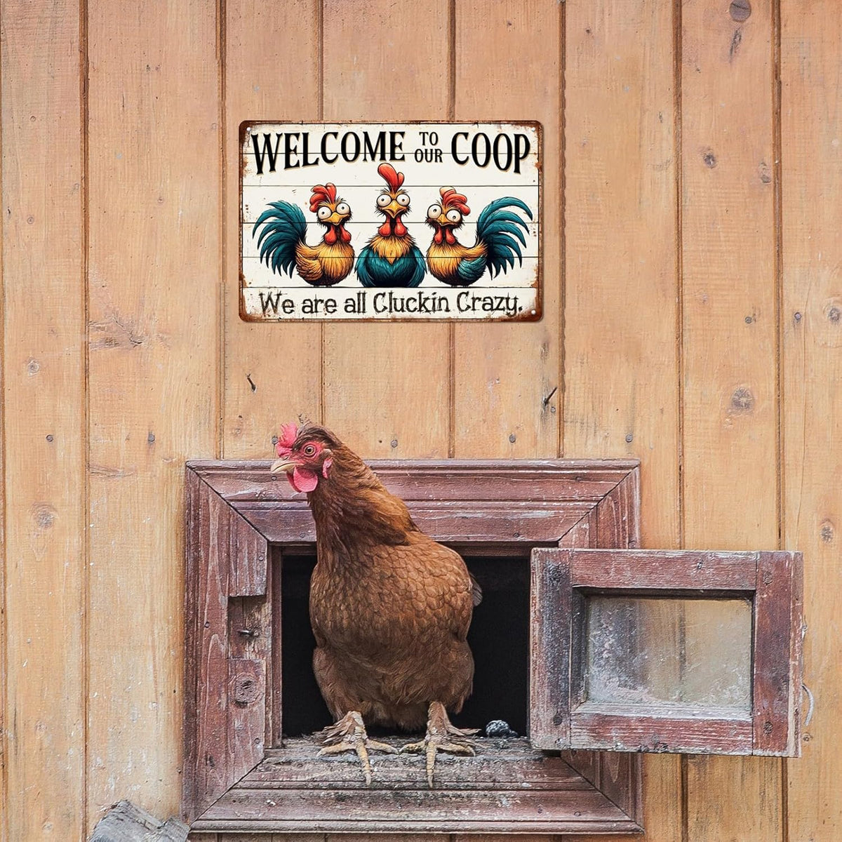 Funny Chicken Coop Tin Sign mounted above a chicken door on a wooden wall, perfect for rustic farmhouse or backyard coop decoration.