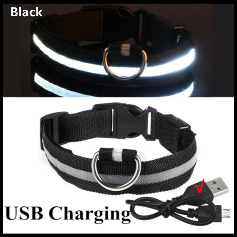 Black LED dog collar with white illumination and USB charging, combining sleek design with nighttime pet safety.