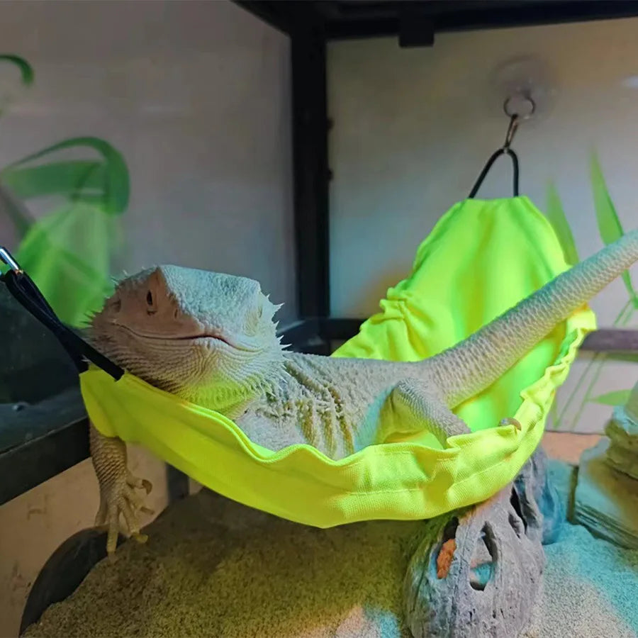 Bearded dragon lounging in a neon yellow Lizard Climbing Hammock, a bright and comfortable swing nest for reptile tanks.