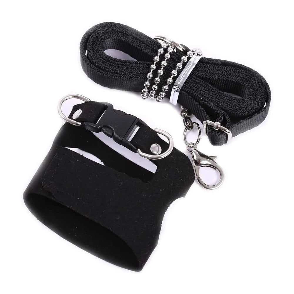 Black adjustable squirrel harness and leash set with metal clip and secure buckle, designed for safe outdoor pet training.
