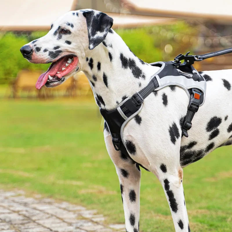 Dalmatian wearing a heavy duty no pull harness with reflective safety and adjustable fit, ideal for large dog breeds.