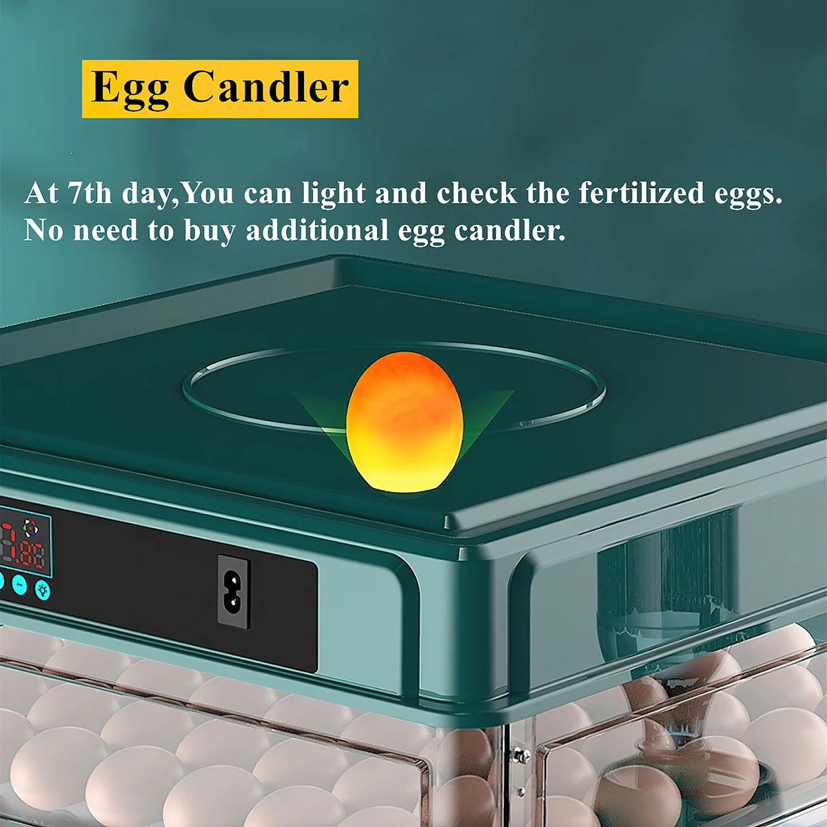 Built-in egg candler on Automatic Egg Incubator - Water Adding | 12-64 Eggs allows checking fertilized eggs on day 7 without extra tools.